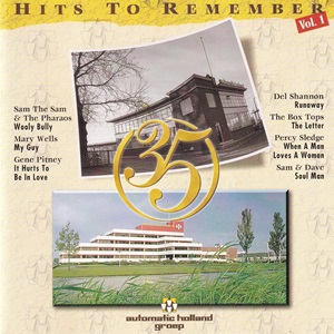 Hits To Remember Vol