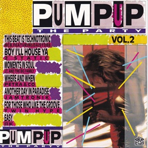 Pump Up The Party Vol. 2 - Diverse Artiesten