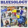 Bluesology - 75 Electrifying Blues Classics On 3CDs - Diverse Artiesten