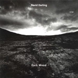 David Darling - Dark Wood