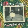 Dilana Smith - Wonderfool