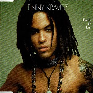 Lenny Kravitz - Fields Of Joy