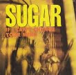 Sugar (Bob Mould) - If I Can't Change Your Mind