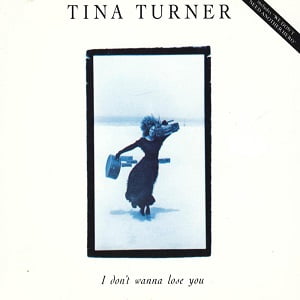 Tina Turner - I Don't Wanna Lose You