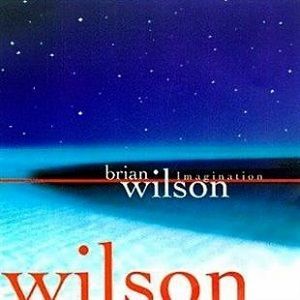 Brian Wilson - Imagination