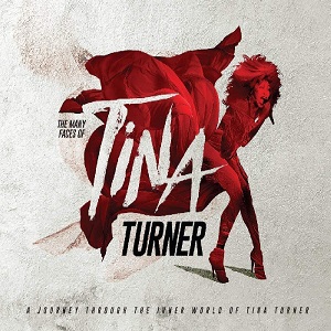 The Many Faces Of Tina Turner (A Journey Through The Inner World Of Tina Turner) - Diverse Artiesten