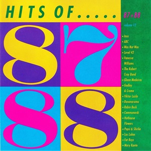Hits Of 87 + 88 - Volume 12 - Diverse Artiesten