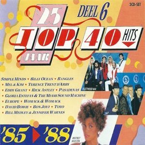 25 Jaar Top 40 Hits - Deel 6 - 1985-1988 - Diverse Artiesten