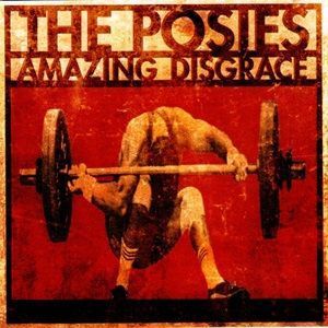 Posies (The) - Amazing Disgrace