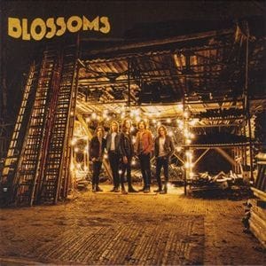 Blossoms - Blossoms