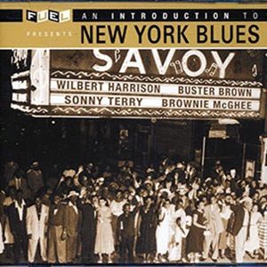 An Introduction To The New York Blues - Diverse Artiesten