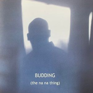 Wim Budding - Portraits (The Na Na Thing)