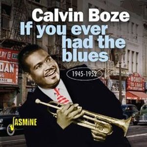 Calvin Boze - If You Ever Had The Blues