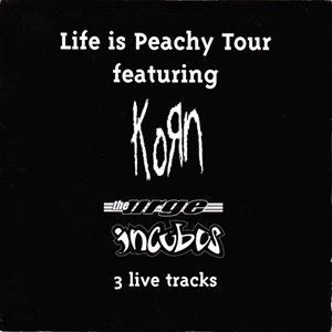 Life Is Peachy Tour - Featuring (3 Live Tracks) - Diverse Artiesten