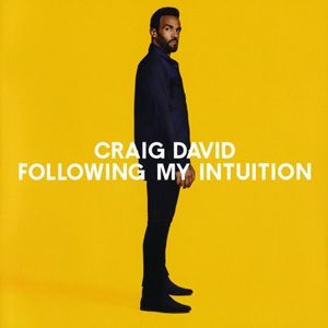 Craig David - Following My Intuition