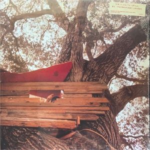 Backseat Lovers (The) - Waiting to Spill