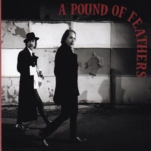 Black Crowes (The) - A Pound Of Feathers