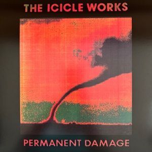 Icicle Works (The) - Permanent Damage