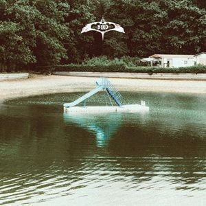 Bird Experience (The) - The Bird Experience