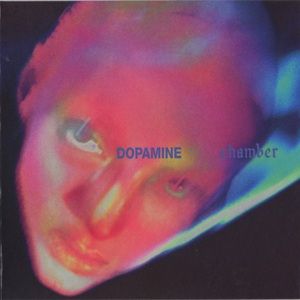 Fontaines D.C. - Dopamine Chamber